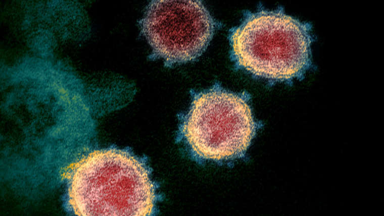 Flu Season, the Coronavirus, and the Church