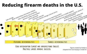Preventing Deaths from Gun Violence Using the Swiss Cheese Model