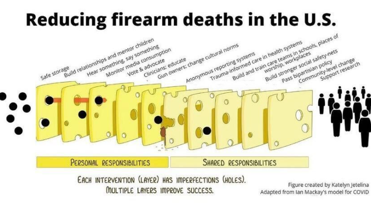 Preventing Deaths from Gun Violence Using the Swiss Cheese Model